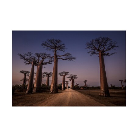 Marco Tagliarino 'Allace Des Baobabs' Canvas Art, 16x24